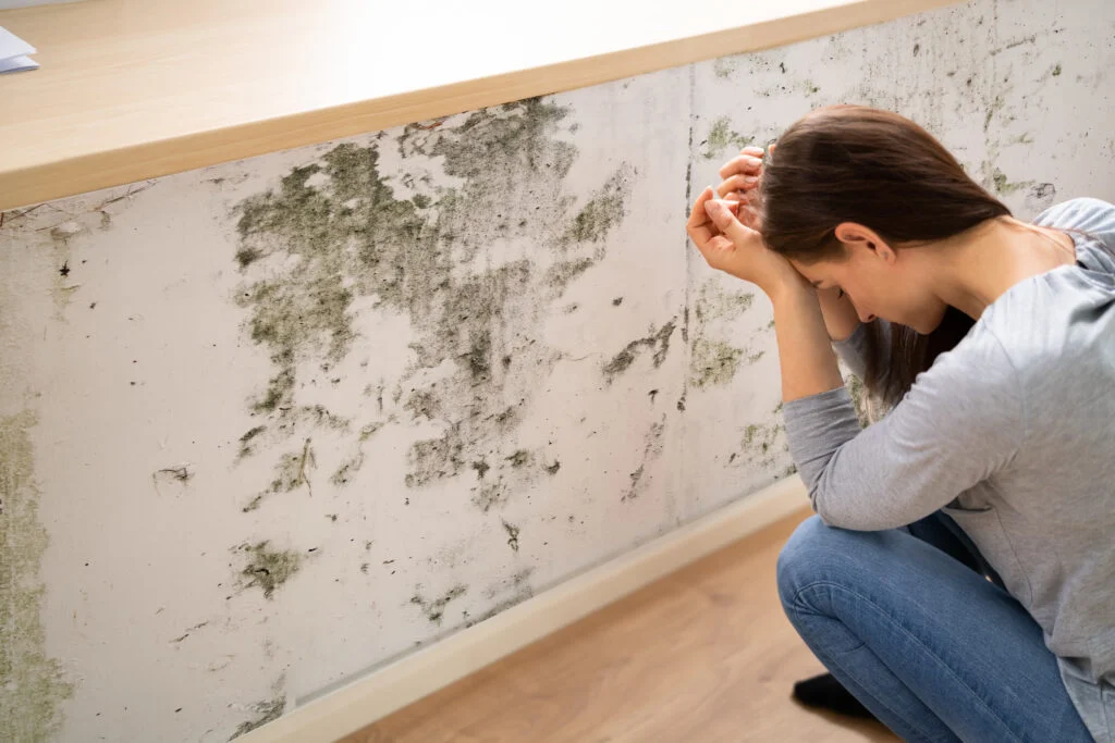 Damp, Mould & Housing Disrepair: Advice for Tenants